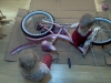 wpid-IMG_20110302_101844