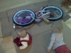 wpid-IMG_20110302_095836